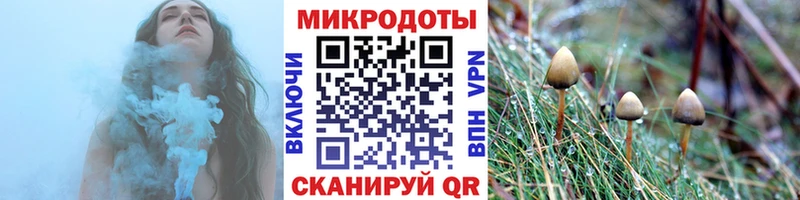 сколько стоит  Нерчинск  Псилоцибиновые грибы Magic Shrooms 